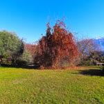 Villa con parco vista lago.