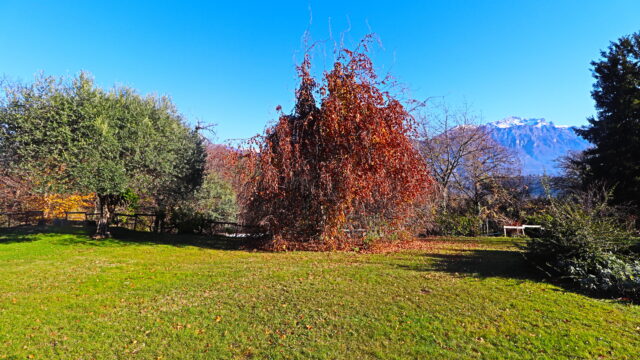 Villa con parco vista lago.