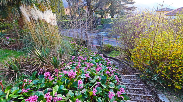 Villa indipendente con giardino