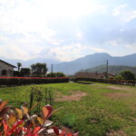 Terreno edificabile