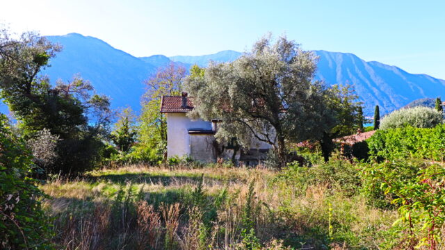 Terreno edificabile