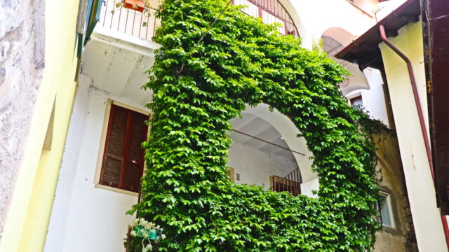 Casa di borgo