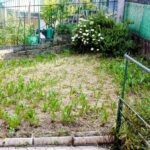 Appartamento in casa bifamiliare