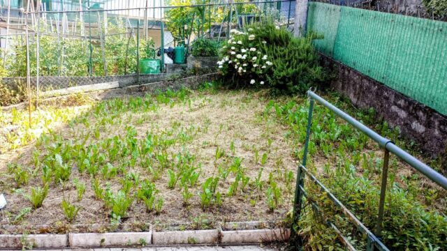 Appartamento in casa bifamiliare