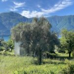 Terreno edificabile